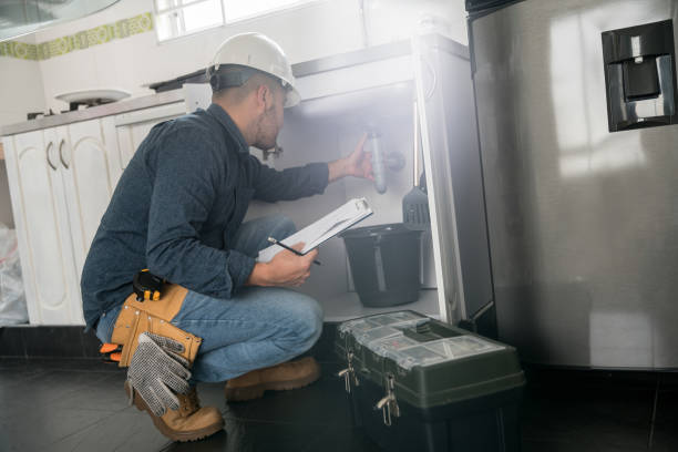 Best Drain Cleaning Services  in Red Bud, IL