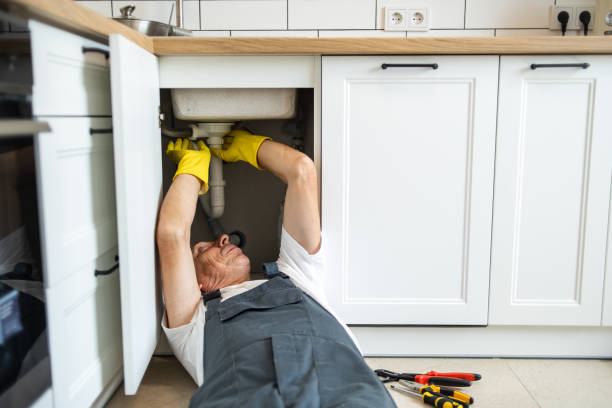 Best Commercial Plumbing Services  in Red Bud, IL