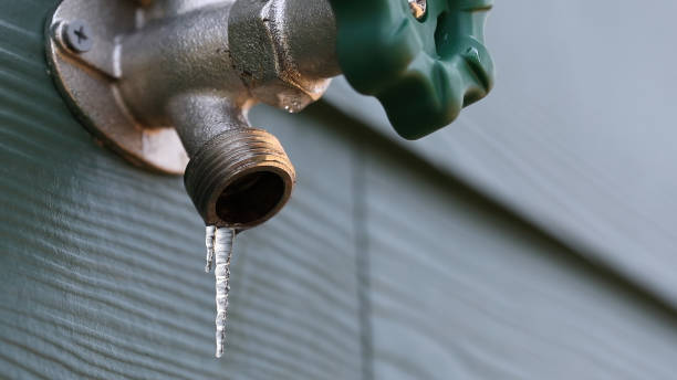 Best Plumbing Services Near Me  in Red Bud, IL